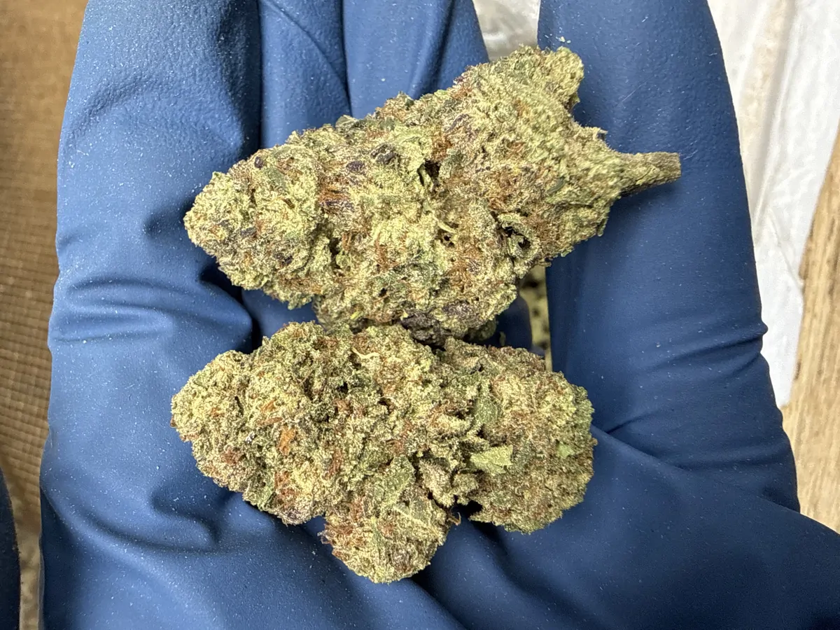 Grape Jelly Flower